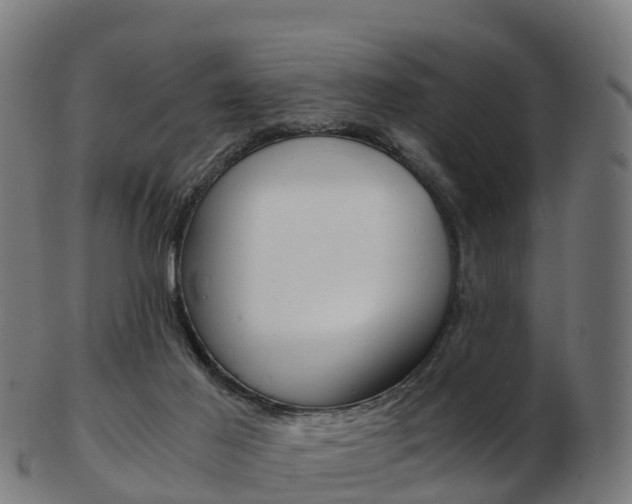 X0000103500021200809121022