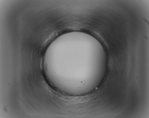 X0000103500023200809121022