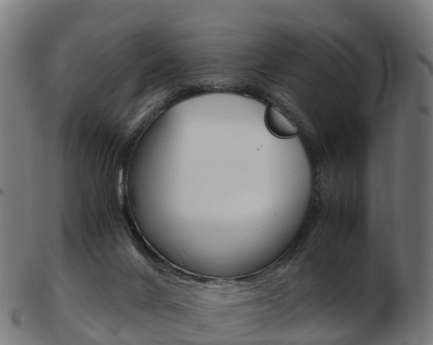 X0000103500024200809121022