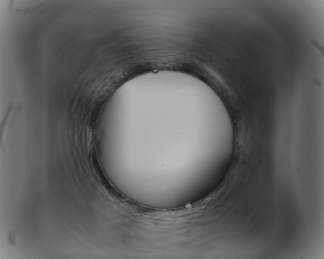 X0000103500025200809121022