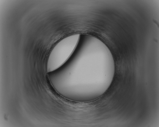 X0000103500028200809121022