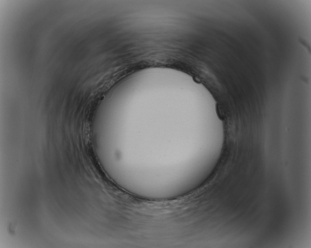 X0000103500029200809121022