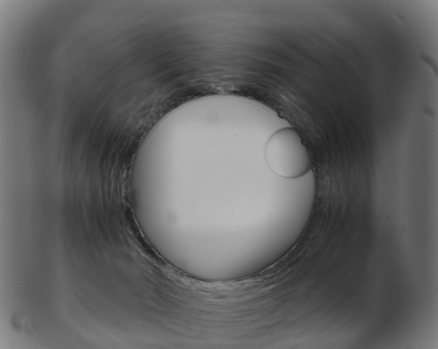 X0000103500030200809121022