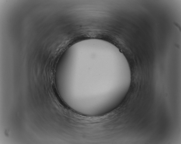 X0000103500031200809121022