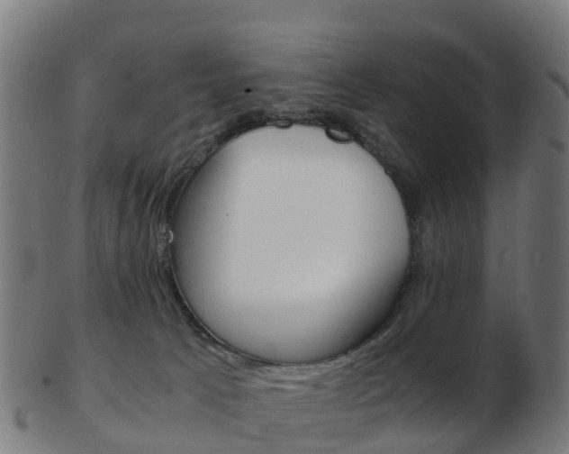 X0000103500033200809121022