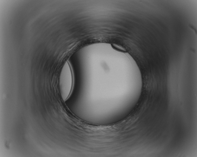 X0000103500036200809121022