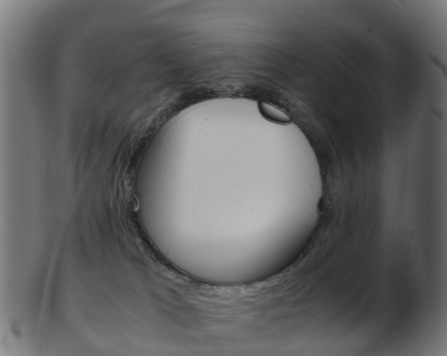 X0000103500037200809121022