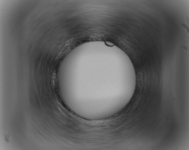 X0000103500038200809121022