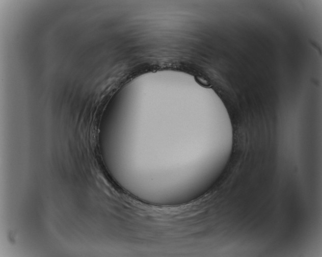 X0000103500039200809121022