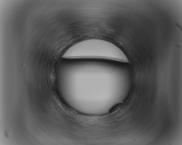 X0000103500040200809121022