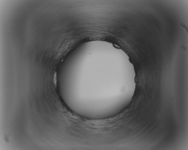 X0000103500041200809121022