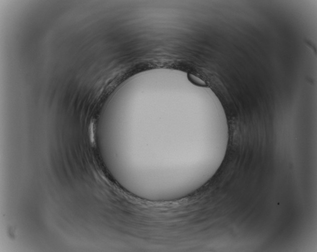 X0000103500042200809121022