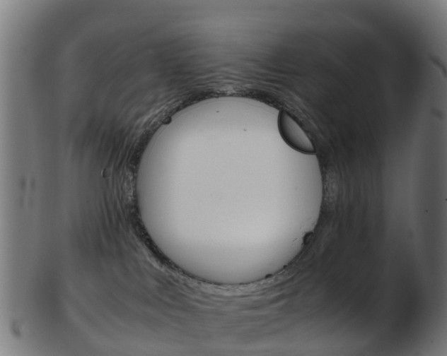 X0000103500043200809121022