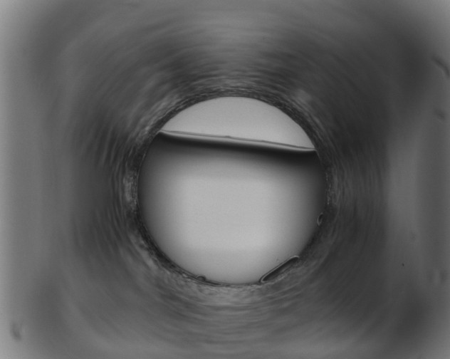 X0000103500044200809121022