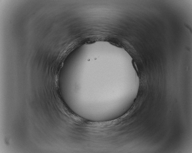 X0000103500045200809121022