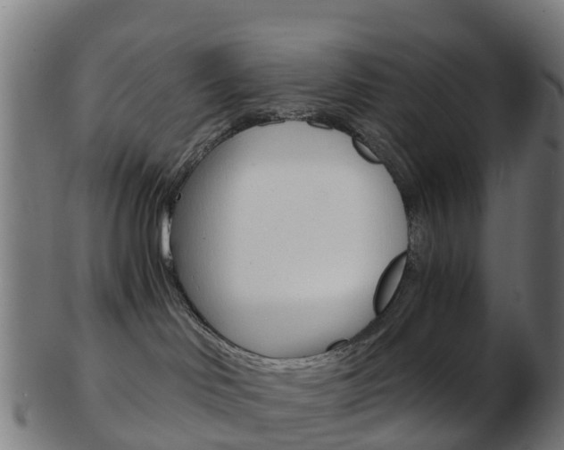 X0000103500046200809121022