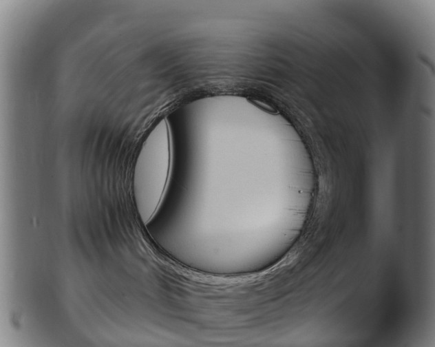 X0000103500048200809121022