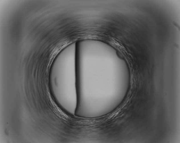 X0000103500049200809121021