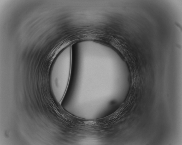 X0000103500050200809121021