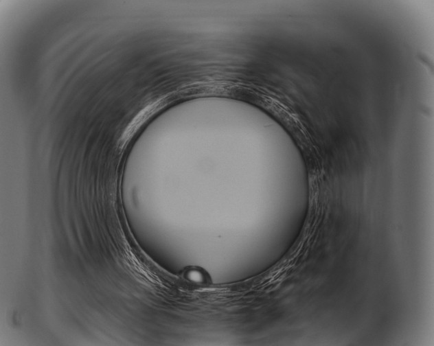 X0000103500051200809121021