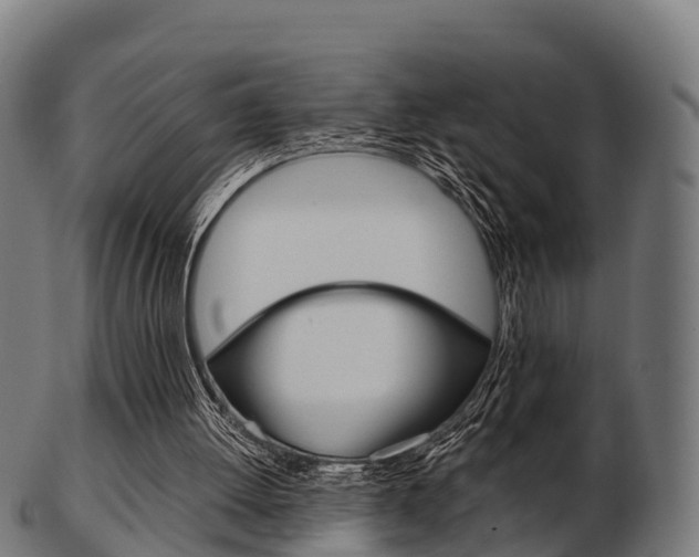 X0000103500052200809121021