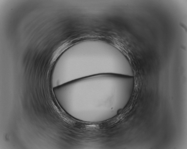 X0000103500053200809121021