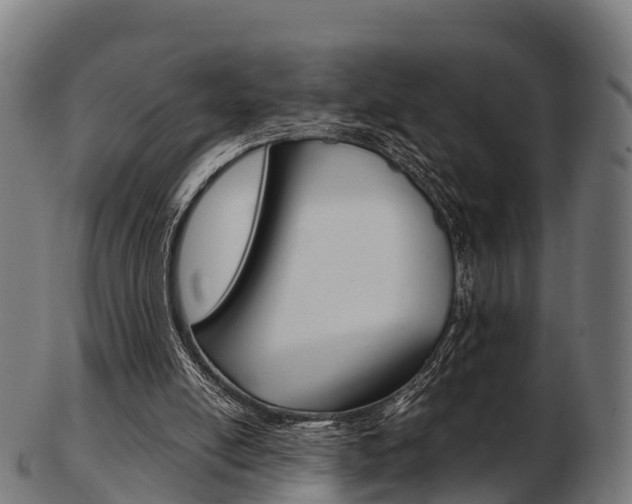 X0000103500054200809121021