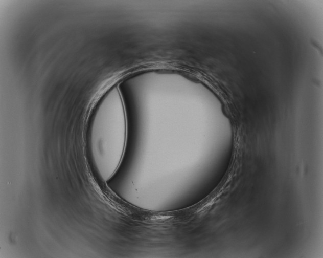 X0000103500055200809121021