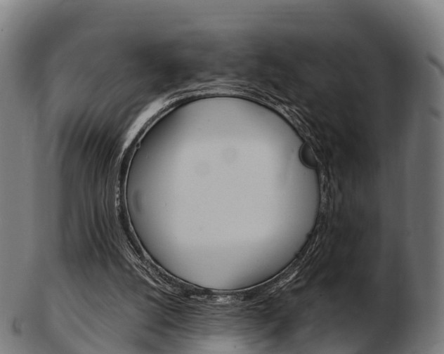 X0000103500056200809121021