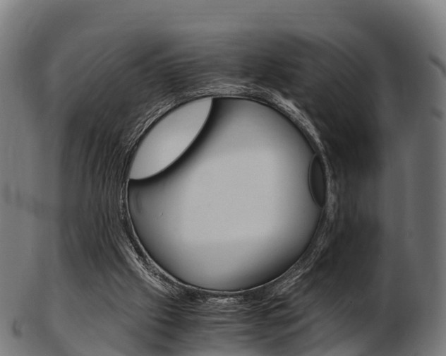 X0000103500057200809121021