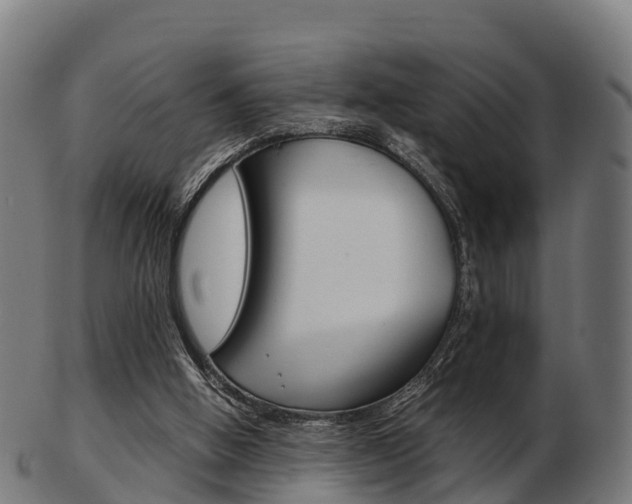 X0000103500058200809121021