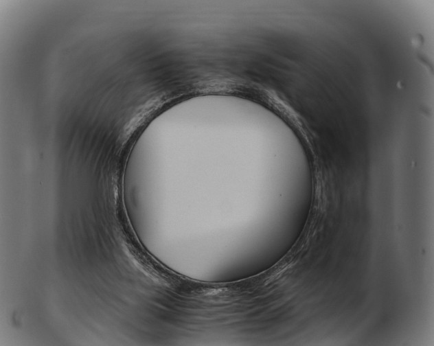 X0000103500059200809121021