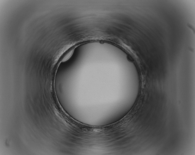 X0000103500060200809121021