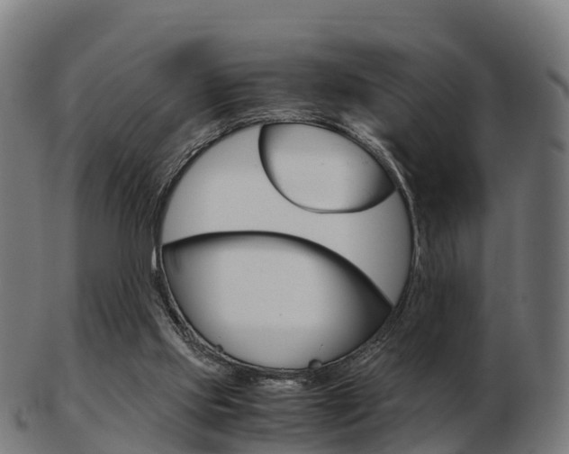 X0000103500061200809121021