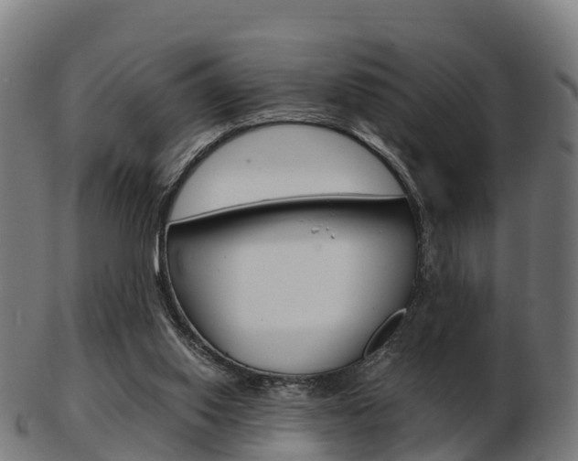 X0000103500062200809121021