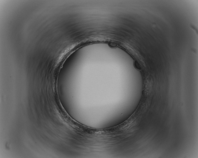 X0000103500064200809121021