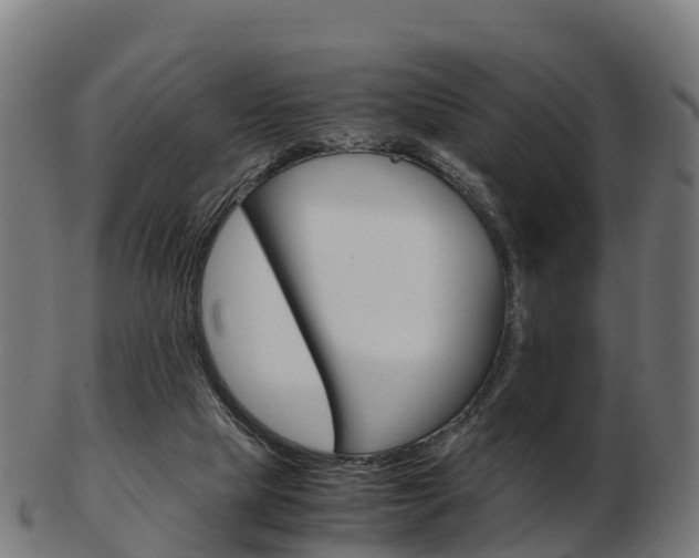 X0000103500065200809121021