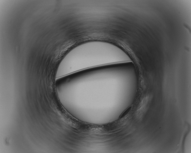 X0000103500066200809121021