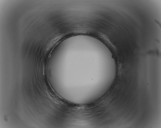 X0000103500068200809121021