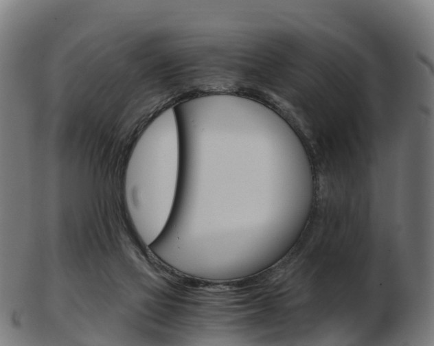 X0000103500069200809121021