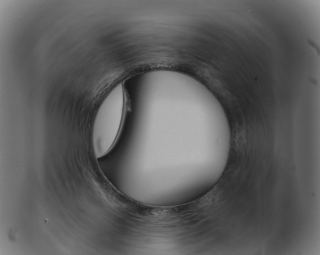 X0000103500070200809121021