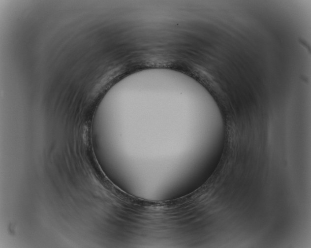 X0000103500071200809121021