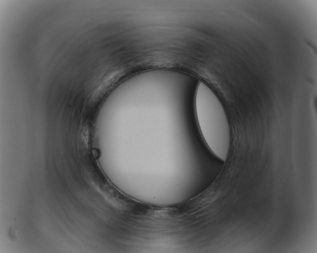 X0000103500072200809121021