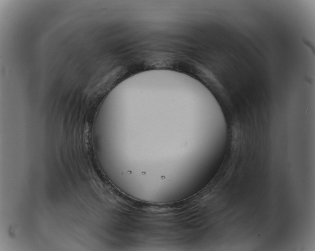 X0000103500073200809121021