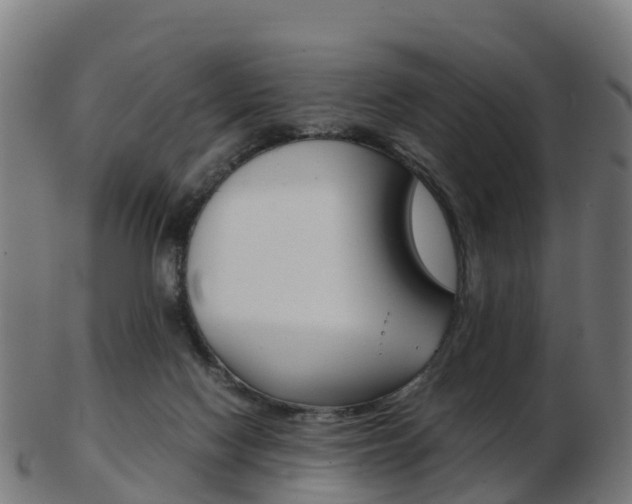 X0000103500074200809121021