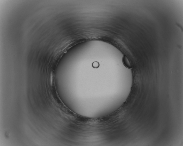 X0000103500076200809121021