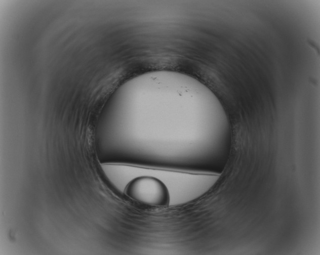 X0000103500077200809121021