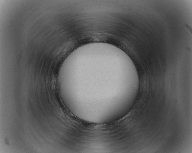 X0000103500078200809121021