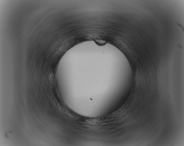 X0000103500079200809121021