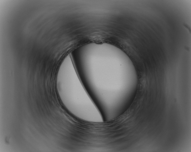 X0000103500081200809121021